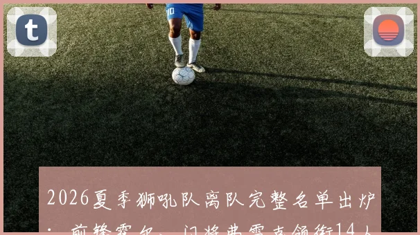 2026夏季狮吼队离队完整名单出炉:前锋霍尔、门将弗雷克领衔14人告别,球队重建计划正式启动
