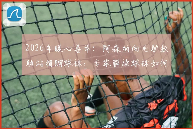 2026年暖心善举：阿森纳向毛驴救助站捐赠球袜，专家解读球袜如何有效保护驴腿免遭叮咬